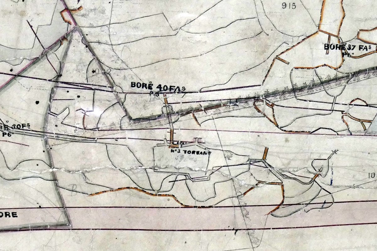 torbane 3 1855