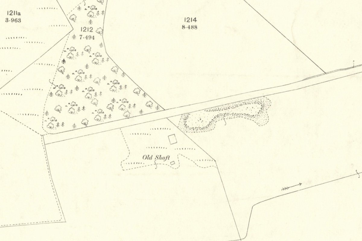 torbane 3 1895