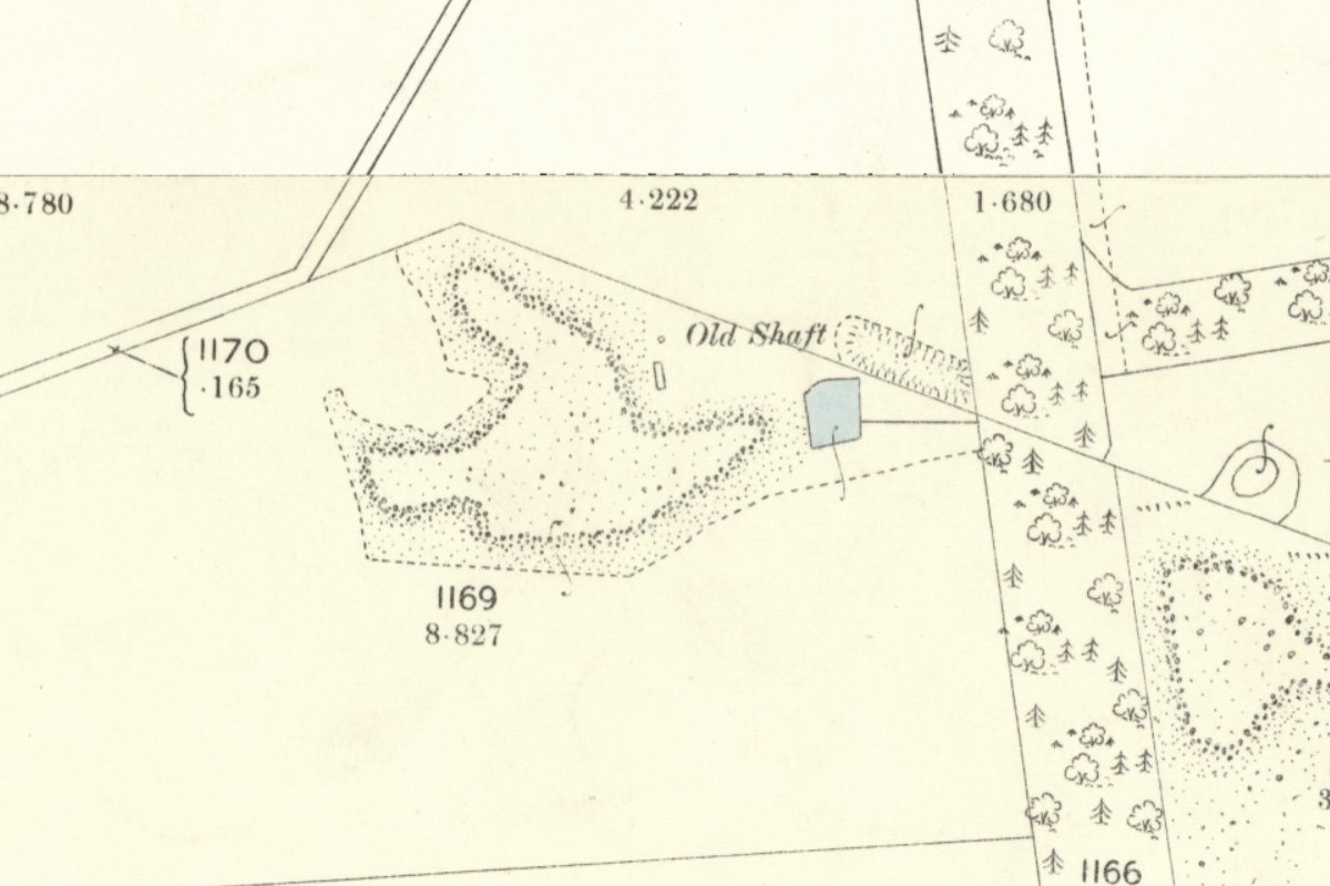 trees 4 1895.jpg