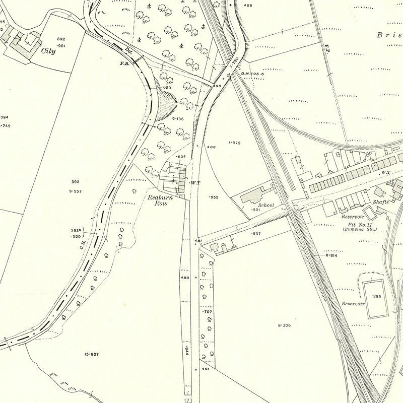 Raeburn Rows - 25" OS map c.1907, courtesy National Library of Scotland