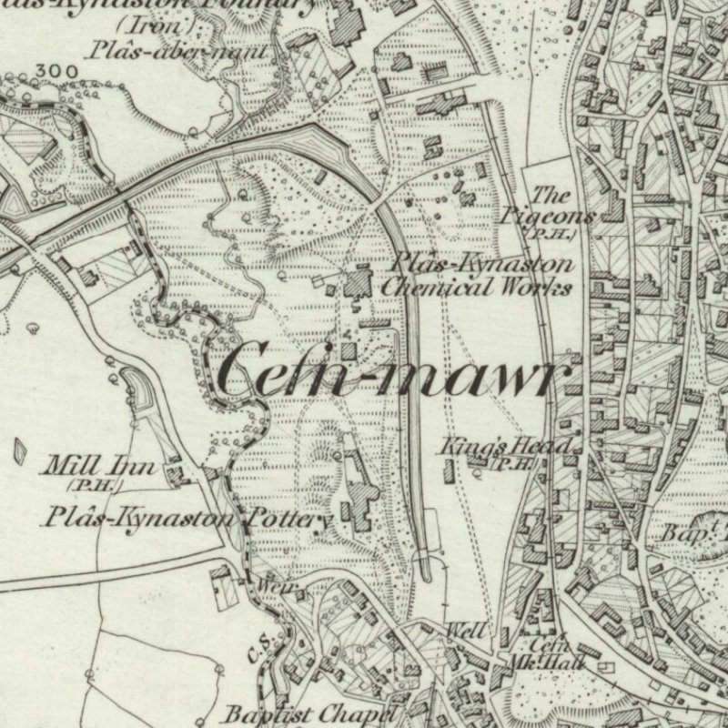 Plaskynaston Oil Works - 6" OS map c.1879, courtesy National Library of Scotland