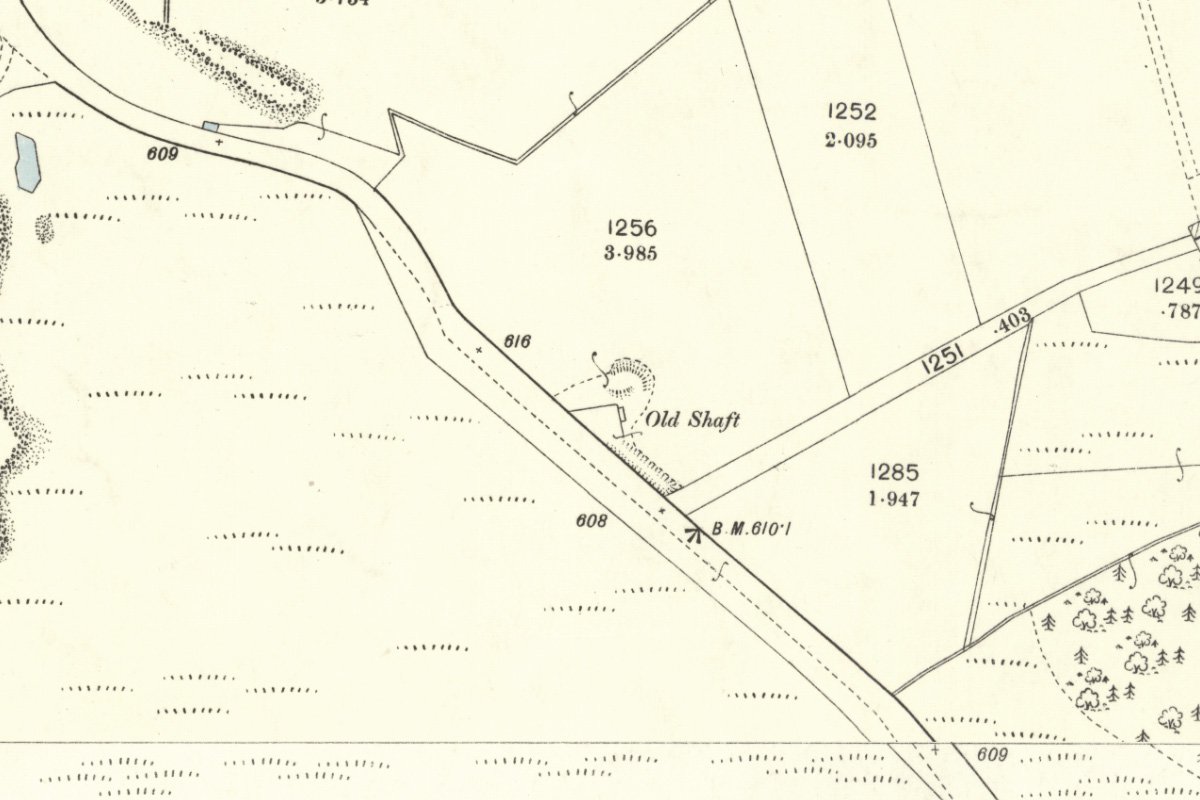 west torbane 1895