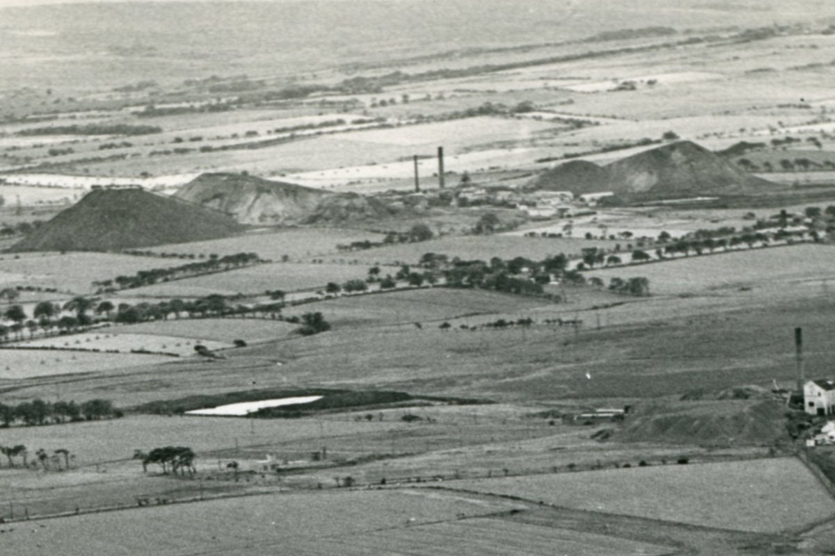 whitrigg